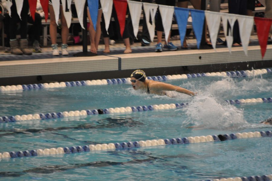 Girls swimming and diving places third in Division II State Championship 