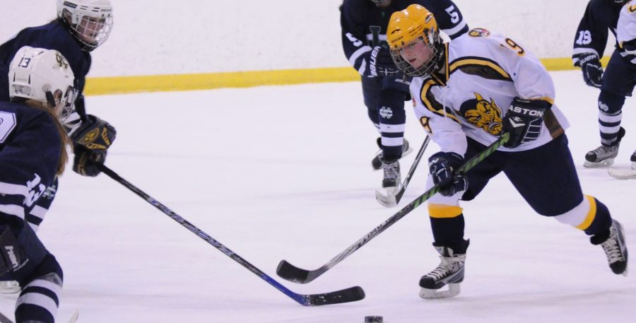 Girls Hockey team falls short of second consecutive state championship