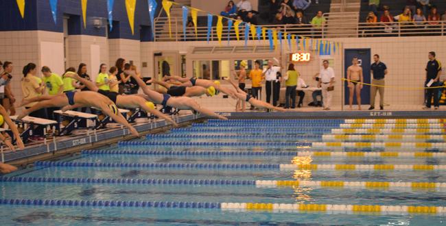 State+swimmers+anticipating+state+championships+