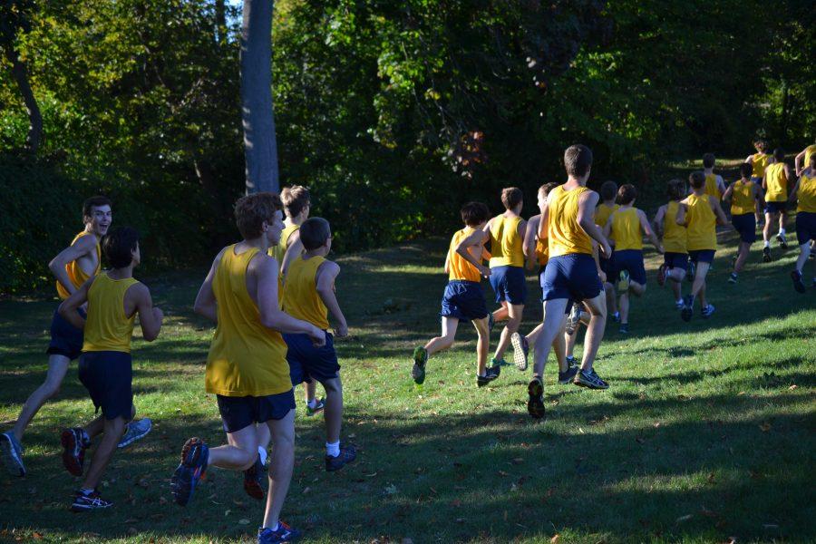 DeBrunner to compete at Boys Cross Country States