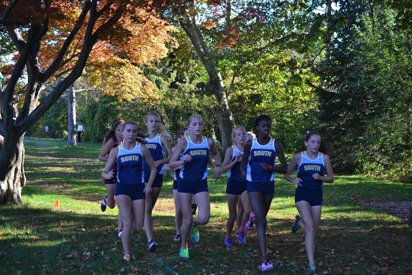 Girls Cross Country finishes 2nd at the Wayne County Championship