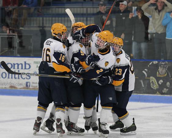 Boys hockey dominates Romeo in the State Quarterfinals, 8-2