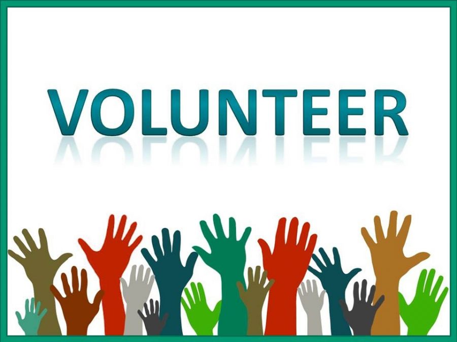 Volunteer opportunities in Grosse Pointe