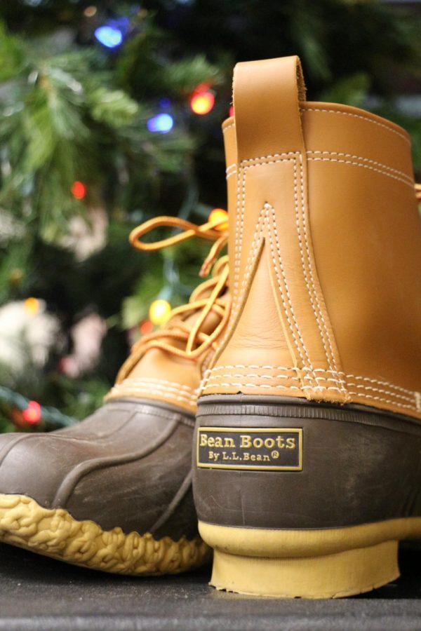 Stylish boots for the winter season. 