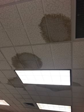 Its raining in: The ceiling and floors both experienced severe water damage after major storms on Sept. 25. Photo courtesy of Moussa Hamka.