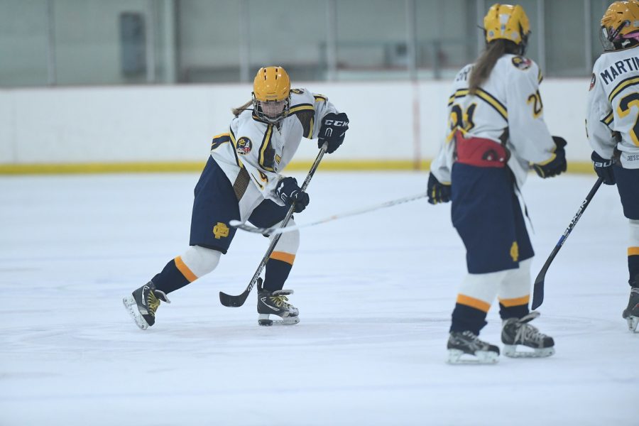 Action shot of the girls hockey last season. Photo courtesy of Lauren Kramer.