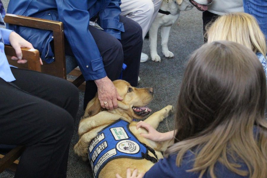 Students had a warm and fuzzy visit in the library from some super good boys.
