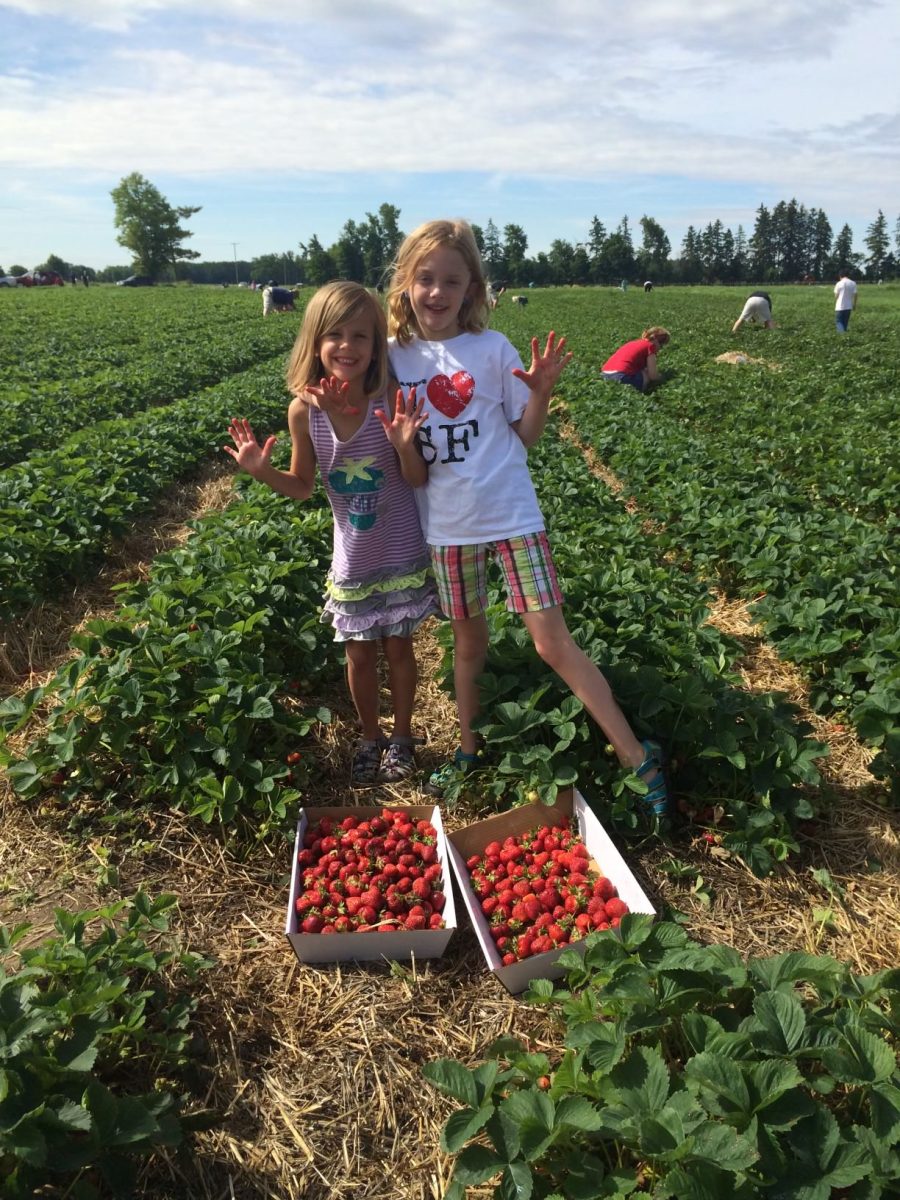 Lorelei Carr ’26 and South alumni Ava Carr, strawberry picking in 2014. The two became very messy, getting strawberry all over.