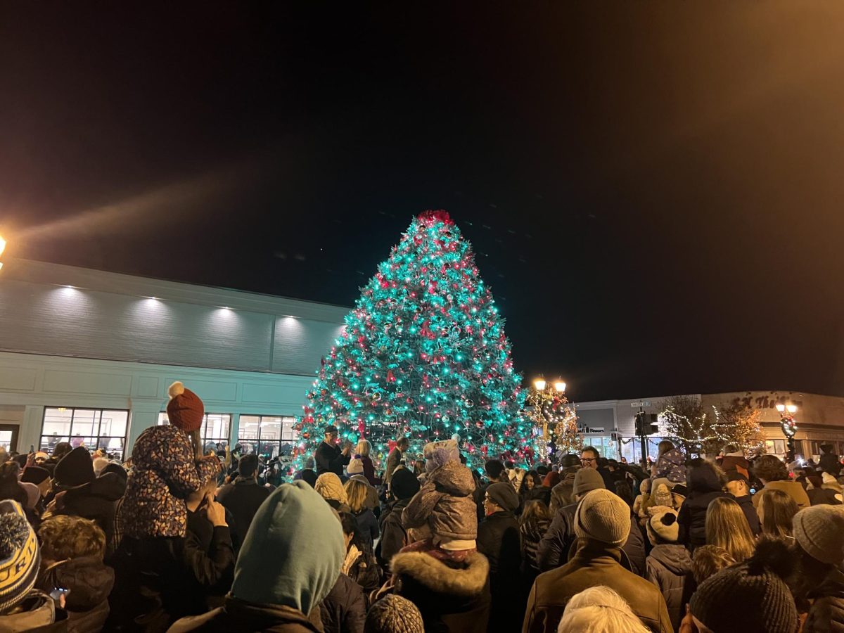  With pushing, shoving, children on shoulders, and climbing fountains…everyone at the tree lighting was trying to ensure they got a good spot right before 6. 
