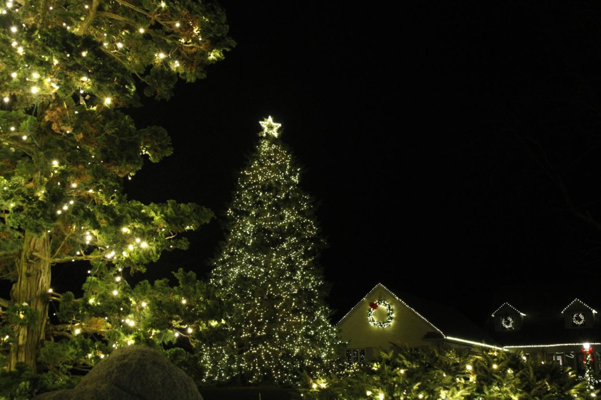 chstmas tree cover photo (1)