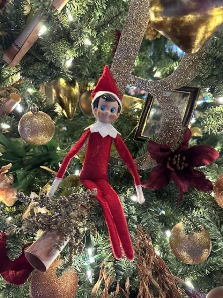 Perched on the Christmas tree in Cleminson Hall, South’s elf watches over the students to see if they are naughty or nice.
