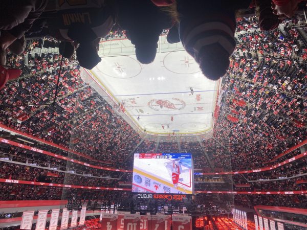 The Detroit Red Wings take down the New York Islanders on Nov. 21. The win came in come-from-behind fashion as after being held scoreless for the entire game up to his point, the Red Wings scored two goals in the final five minutes of the game to win 2-1.