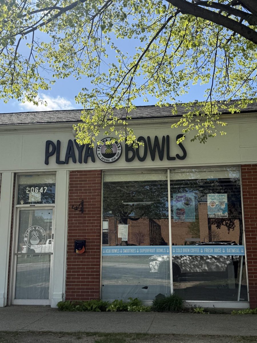Incoming hit: Opening on Mack Avenue in Grosse Pointe, Playa bowls is a bright restaurant that is known for their acai bowls and smoothies. Photo courtesy of: Alivia Bierkle
